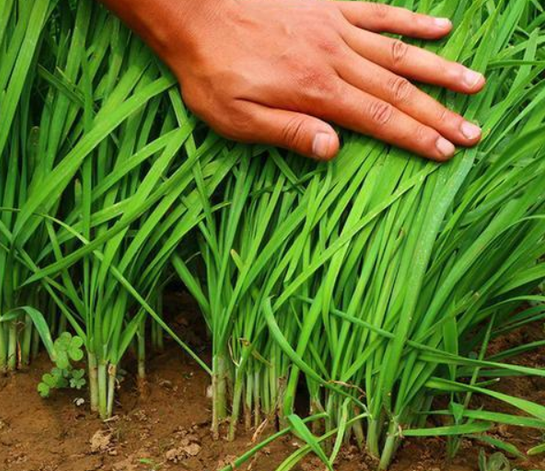 图片[2]-你还在到处找项目？还在当韭菜？我靠卖项目一个月收入5万+，曾经我也是个失败者。-鑫源云网创