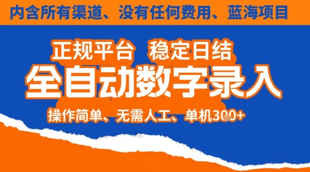 全自动数字录入，单机日入3张+，内含所有渠道全程免费零成本，操作简单可矩阵开干【揭秘】-鑫源云网创