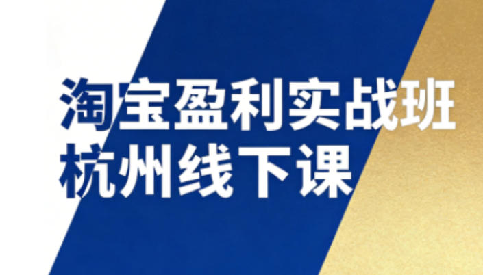 淘宝盈利实战班杭州线下课12月26-28日(音频+字幕)，帮你掌握SOP流程+12门核心技术-鑫源云网创