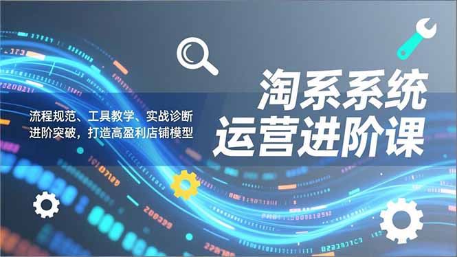 淘系系统运营进阶课2.0，流程规范、工具教学、实战诊断，进阶突破，打造高盈利店铺模型-鑫源云网创