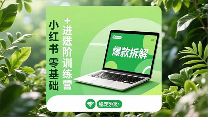 小红书零基础+高阶训练营：安全养号、爆款拆解、长效运营，实现稳定涨粉与变现-鑫源云网创