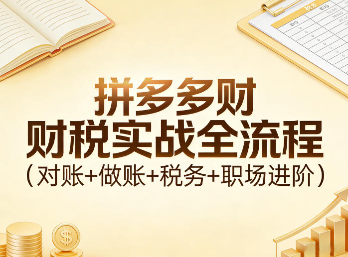 拼多多财税实战全流程(对账+做账+税务+职场进阶)-鑫源云网创