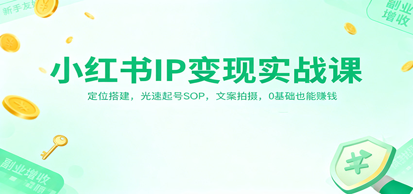 小红书IP变现实战课：定位搭建，光速起号SOP，文案拍摄，0基础也能赚钱-鑫源云网创