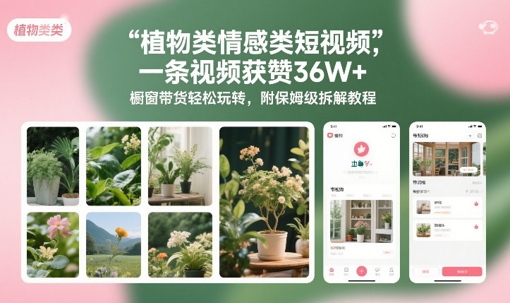 植物类情感类短视频，一条视频获赞36W+，橱窗带货轻松玩转，附保姆级拆解教程-鑫源云网创