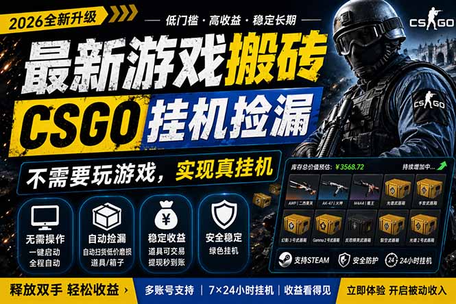 最新游戏搬砖，CSGO纯挂机，不需要玩游戏，实现真挂机，月入1W+，五一小高峰上车可吃肉，…-鑫源云网创