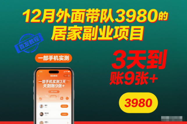 12月外面带队3980的居家副业项目，一部手机实测3天到账9张+，首发教程【揭秘】-鑫源云网创