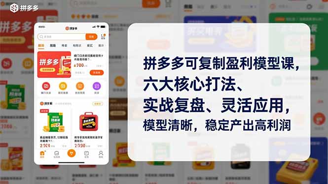 拼多多可复制盈利模型课，六大核心打法、实战复盘、灵活应用，模型清晰，稳定产出高利润-鑫源云网创