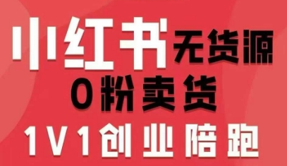 小红书无货源0粉电商课，开店准备、选品策略、笔记撰写、视频剪辑、数据分析、账号打造、资料文档(更新)-鑫源云网创