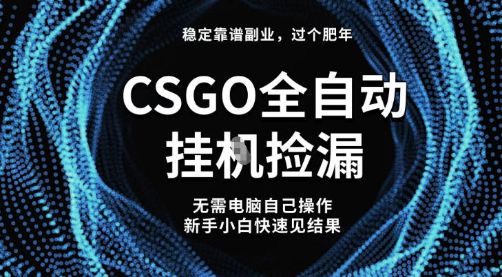【稳定副业】全球最热门游戏CSGO全自动捡漏，最新玩法，新手小白日入5张+【揭秘】-鑫源云网创