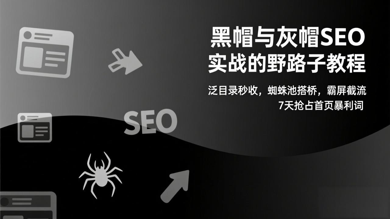 黑帽与灰帽SEO实战的野路子教程：泛目录秒收，蜘蛛池搭桥，霸屏截流，7天抢占首页暴利词-鑫源云网创