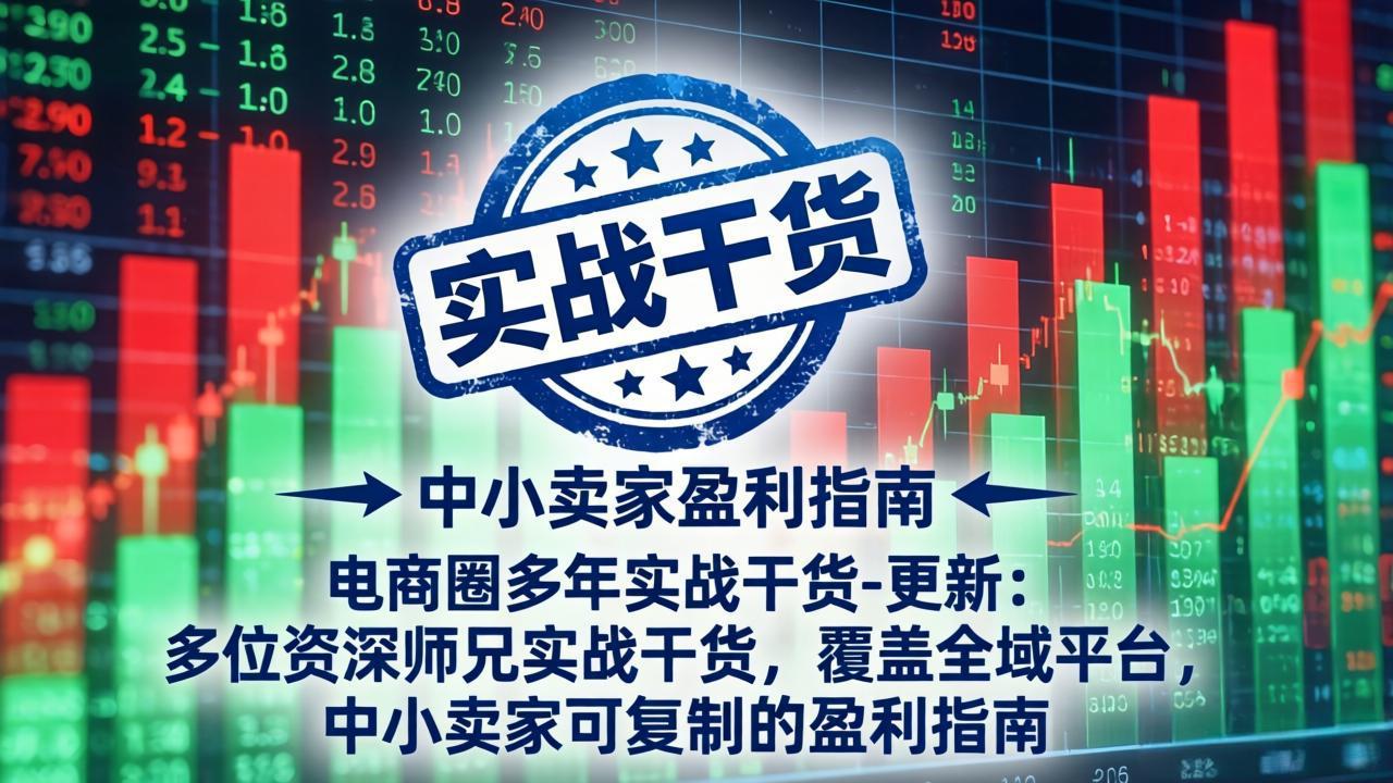 电商圈多年实战干货-更新4月:多位资深师兄实战干货,覆盖全域平台,中小卖家可复制的盈利指南-鑫源云网创