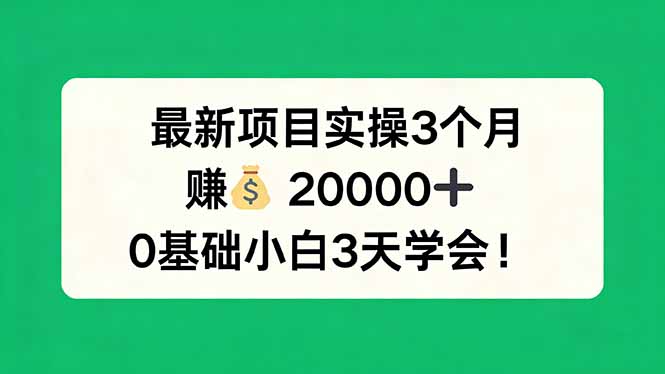 最新项目实操3个月，赚钱20000+，0基础小白3天学会！-鑫源云网创