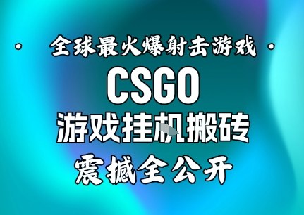 【年底大揭秘】基于全球最火爆的射击CSGO游戏挂G搬砖，日入5张+，震撼公开-鑫源云网创
