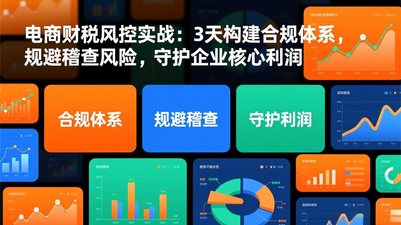 电商财税风控实战：3天构建合规体系，规避稽查风险，守护企业核心利润-鑫源云网创