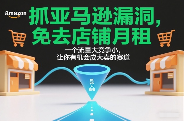 抓亚马逊漏洞，免去店铺月租，一个流量大竞争小，让你有机会成大卖的赛道-鑫源云网创