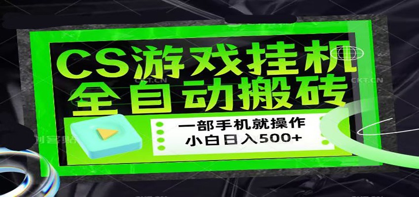 CSGO游戏挂机捡漏搬砖，超稳定的项目，带领1000+小白实现日入500+-鑫源云网创
