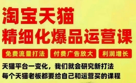 淘宝天猫精细化爆品运营课，免费流量打法-付费广告放大-利润增长-三大核心痛点，一次全部解决-鑫源云网创